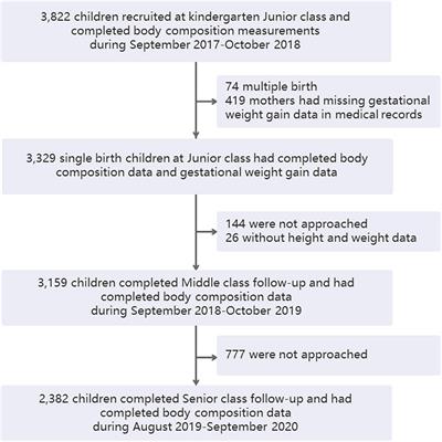 Body Composition in Preschool Children and the Association With Prepregnancy Weight and Gestational Weight Gain: An <mark class="highlighted">Ambispective Cohort Study</mark>